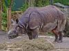 hellabrunn_2012-08-26_0048_bearbeitet-1