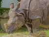 hellabrunn_2012-08-26_0052_bearbeitet-1