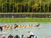 drachenbootcup_2012-10-06_0142_bearbeitet-1