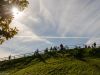 olympiapark-muenchen-19