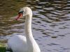 olympiapark-muenchen-42