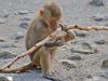 hellabrunn_2012-08-26_0232_bearbeitet-1