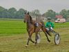 pferderennen-erding_2012-09-02_0006_bearbeitet-1