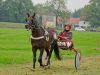 pferderennen-erding_2012-09-02_0009_bearbeitet-1