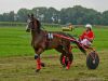 pferderennen-erding_2012-09-02_0043_bearbeitet-1