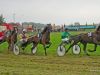 pferderennen-erding_2012-09-02_0054_bearbeitet-1