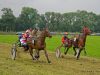 pferderennen-erding_2012-09-02_0091_bearbeitet-1