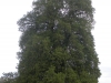 adfc-sandbergtour-034