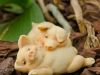 makrotest_2012-08-28_0021_bearbeitet-1