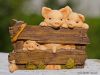 makrotest_2012-08-28_0027_bearbeitet-1