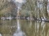 Sempt in Altenerding beim Wehr zum Altwasser als HDR