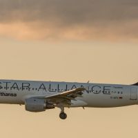 Lufthansa Airbus A320 "Star Alliance"