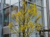 herbst-im-stadtpark-12