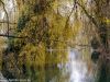 herbst-im-stadtpark-15