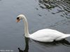 herbst-im-stadtpark-16