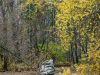 herbst-im-stadtpark-5