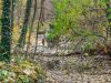 herbst-im-stadtpark-9