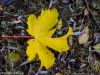 herbst-in-erding-19