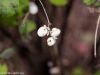 herbst-in-erding-23