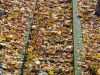 herbst-in-erding-8