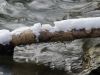 Ast mit Eiszapfen in der Sempt im Stadtpark Erding