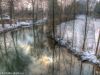 Sempt im Stadtpark in Erding im Winter
