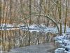 Stadtpark in Erding im Winter