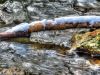 Sempt im Stadtpark in Erding im Winter