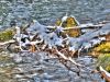 Sempt im Stadtpark in Erding im Winter
