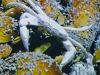 tiefseeausstellung-rosenheim_2012-08-30_0059_bearbeitet-1