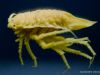 tiefseeausstellung-rosenheim_2012-08-30_0074_bearbeitet-1