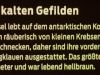 tiefseeausstellung-rosenheim_2012-08-30_0075_bearbeitet-1