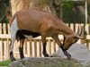 stadtpark-erding_2012-08-25_0019_bearbeitet-1