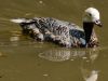 stadtpark-erding_2012-08-25_0035_bearbeitet-1