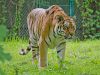 hellabrunn_2012-08-26_0071_bearbeitet-1