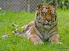 hellabrunn_2012-08-26_0076_bearbeitet-1