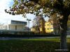 wernberg-tag2-010