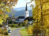 wernberg-tag1-009