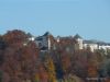 wernberg-tag3-013