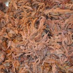 Pulled Beef