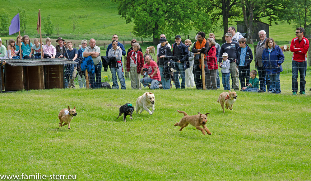 Hunderennen in Großköchlham 2013