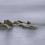 Steine im Starnberger See