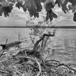 Starnberger See zwischen Leoni und Berg