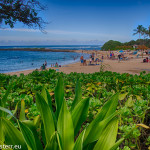 Badestrand an der North Shore / Oahu