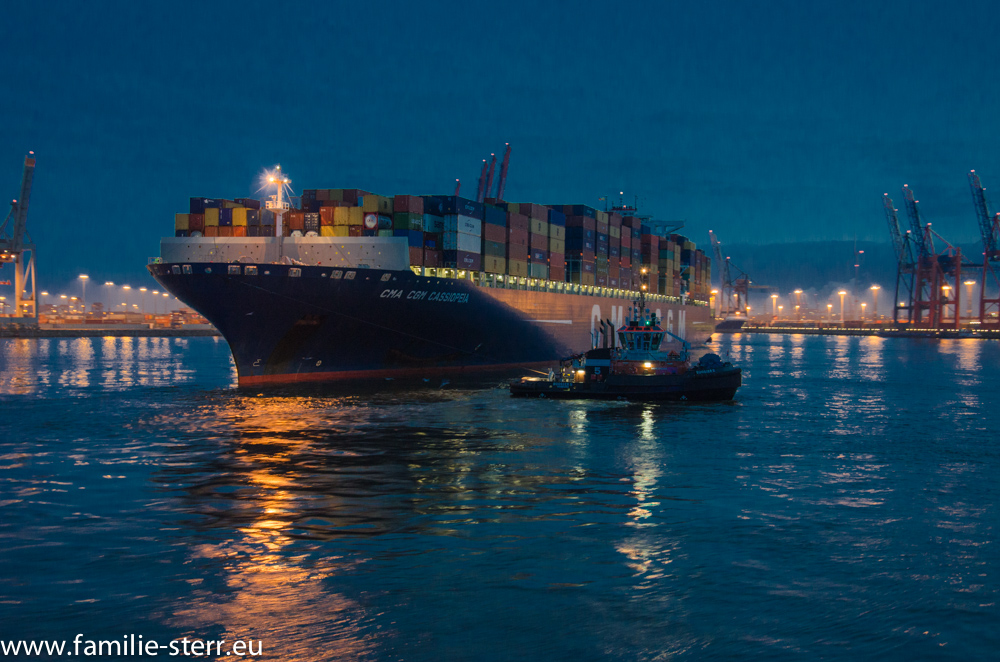 Containerschiff / Hamburg Hafen
