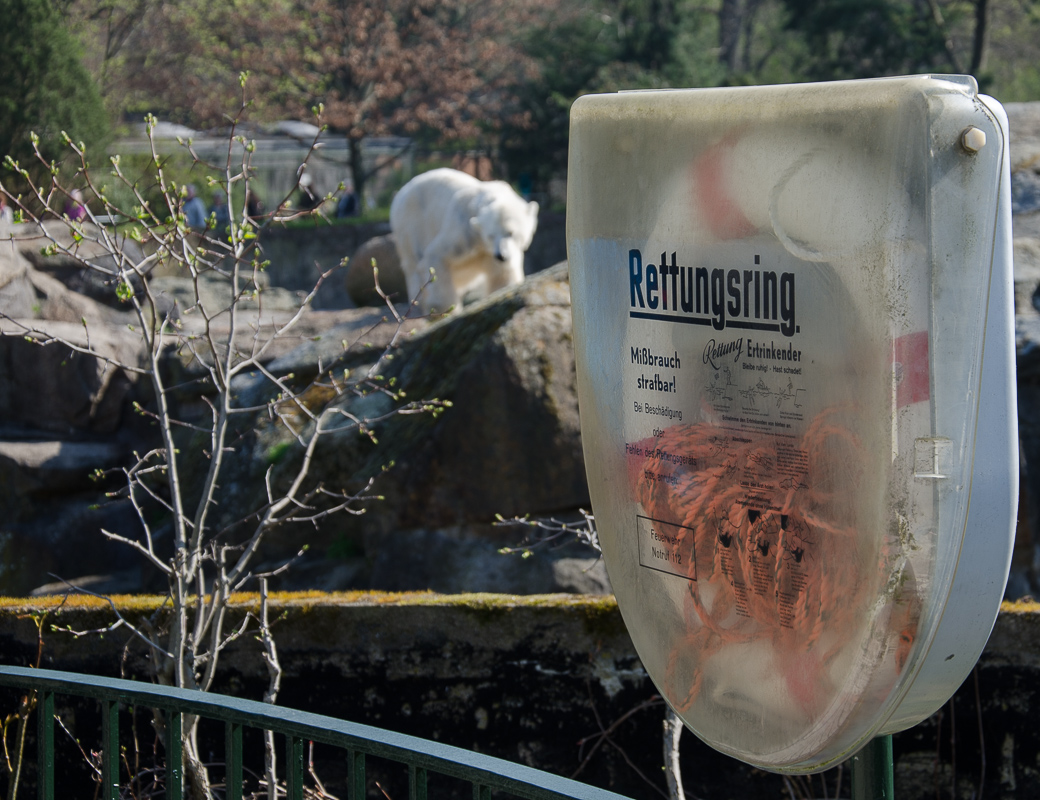 Rettungsring am Eisbärengehege im Zoo in Berlin