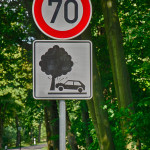 Verkehrsschild "Vorsicht Baum"