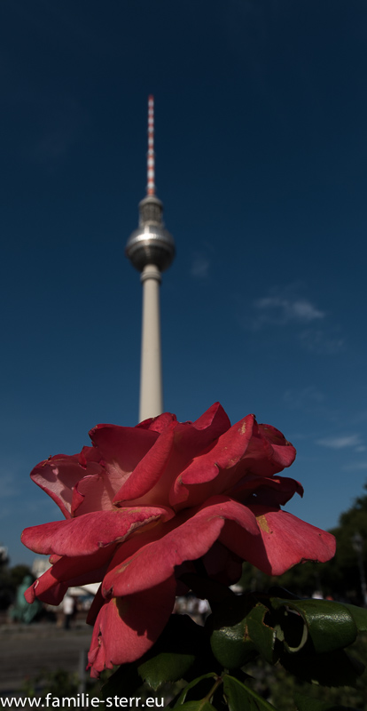 Lichtkreuz am Fernsehturm in Berlin - die "Rache des Papstes"