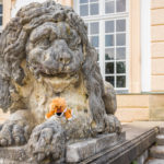Leopold bei einem großen Löwen an der Bodenburg / Schloss Nymphenburg