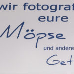 Schild: "Wir fotografieren Eure Möpse"